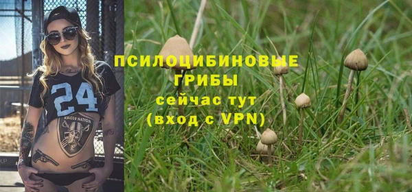 а пвп мука Алзамай