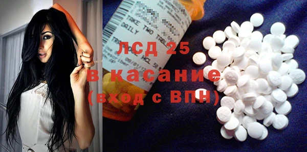 PSILOCYBIN Няндома