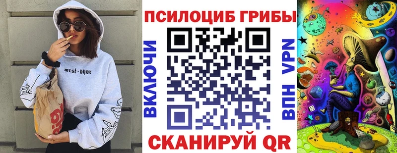 где найти Алексеевка Галлюциногенные грибы мицелий