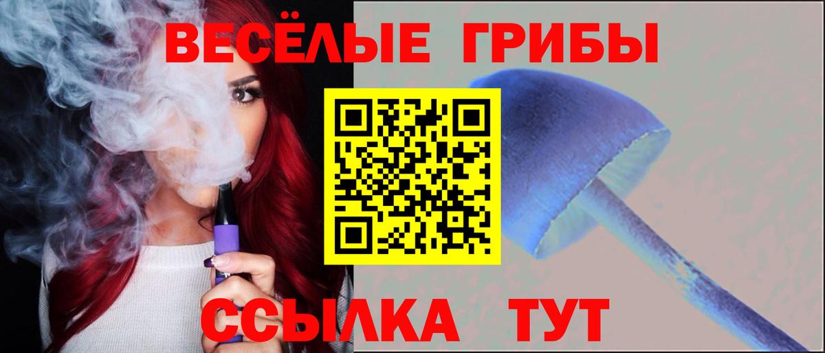 Алексеевка  Галлюциногенные грибы GOLDEN TEACHER  Вход с VPN 